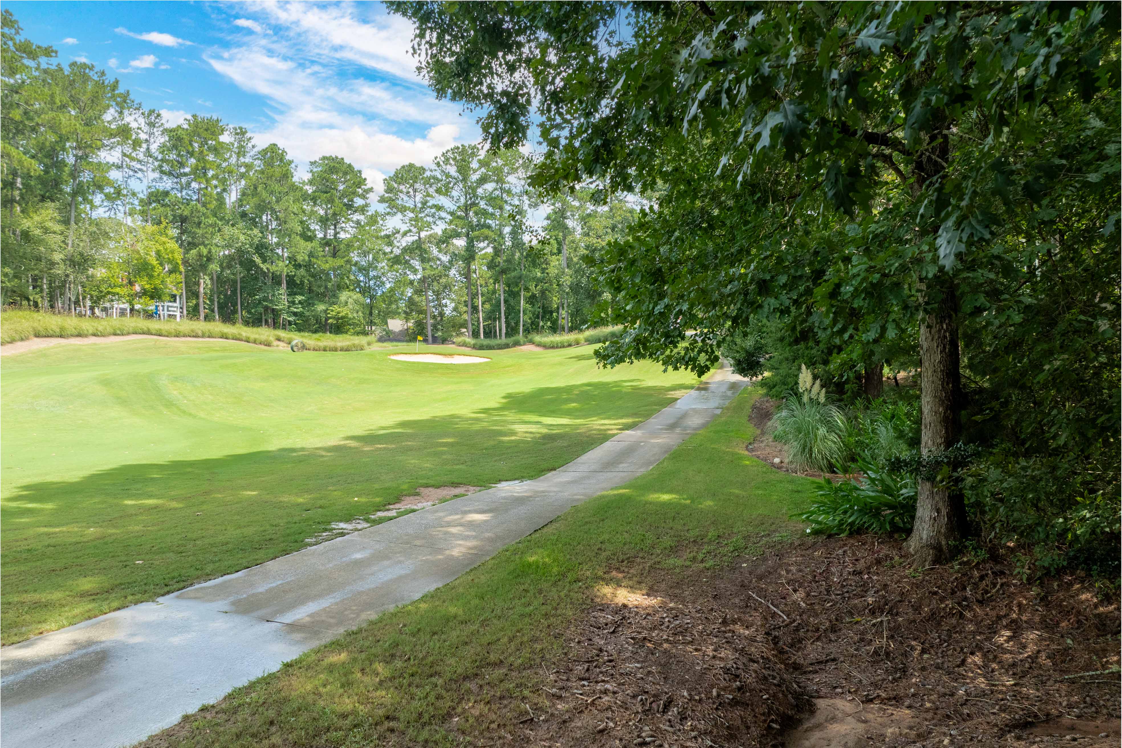 1161 Shoulder Bone Circle image 9